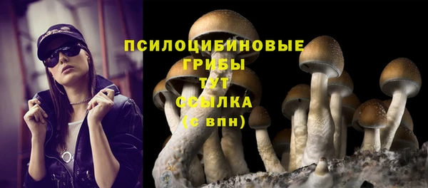 кристаллы Козловка