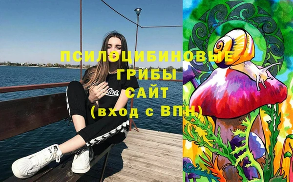 прущий лед Кодинск