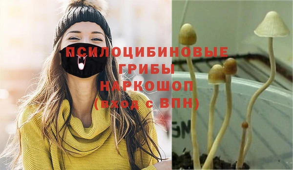 прущая мука Кинешма