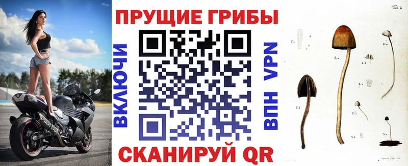 Псилоцибиновые грибы мицелий Купить Бавлы
